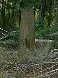 luchtschacht in het bos