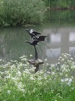 Opvliegende eenden