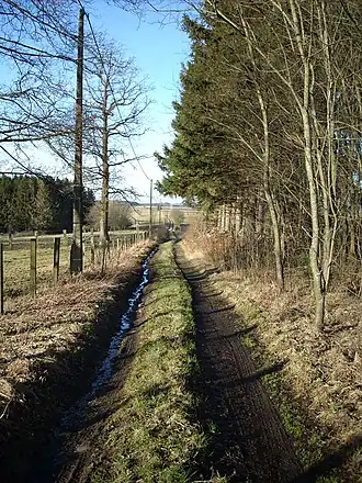 Romeinse weg bij Senonchamps