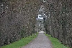 Spoordijk bij Mirepoix.