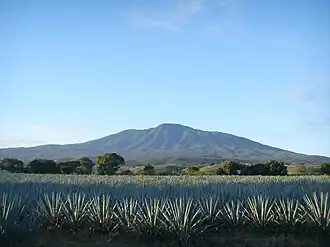 Tequilavulkaan