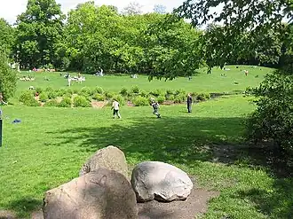Ligweide en zwerfstenen in het oostelijke deel van het park