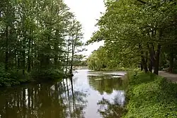 Vijver in het Volkspark Jungfernheide