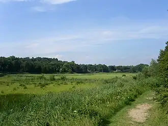 Voormalige geestgrond in Middenduin