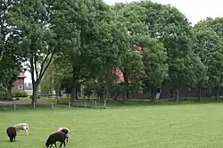 Landbouwschuur (rijksmonument 510058)