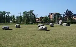 De grote beer (2007)