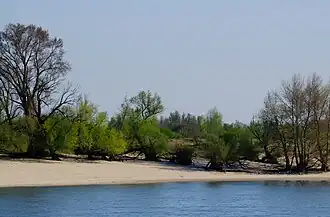 Een voorjaarsaspect van de associatie