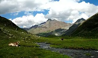 Blik vanuit het Krummgampental op de Vordere Ölgrubenspitze