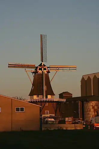 De Vier Winden in avondlicht (2008)