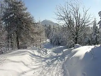 Grensoverschrijdende skiroute door het Lausitzergebergte, met op de achtergrond de berg Lausche/Luž