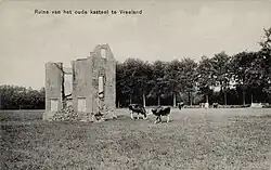 Ruïne kasteel Vredelant