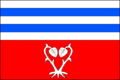 Vlag