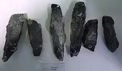 Vuistbijlen uit Valkenburgse vuursteenmijn
