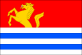 Vlag