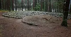 Grafheuvels uit de Wielbarkcultuur bij Węsiory