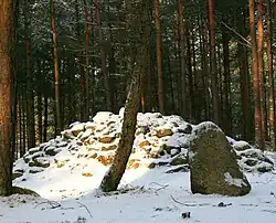 Grafheuvel bij Węsiory