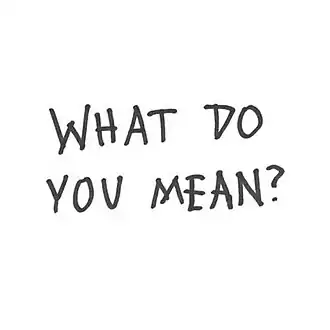 What Do You Mean?
