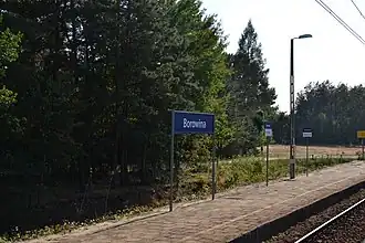 Station Borowina