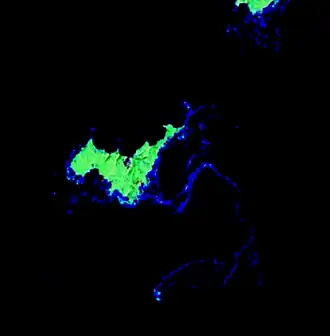 Anoetsjina met het rotseilandje Oedivitelnaja aan zuidzijde en het eiland Joeri aan noordoostzijde
