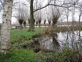 Natuurgebied 't Weegje in 2009