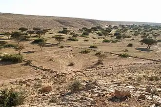 Antieke dammen in de Wadi Buzra bij Suq al-Awty