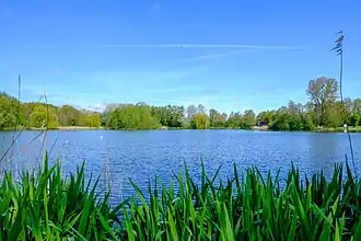 De plas, gezien vanaf de zuidelijke oever. Aan de overkant het eiland, links van het midden.