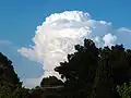 Cumulonimbus calvus, met vervagende toppen
