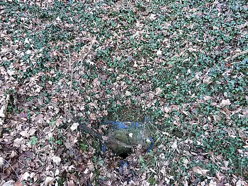 Dichtgeslibte en volgestorte ingang van de Walenkuil (Hinnisdael III)