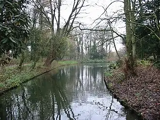 Het Wandelbos anno 2006