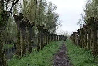 Wandelpad door natuurgebied Klein Profijt