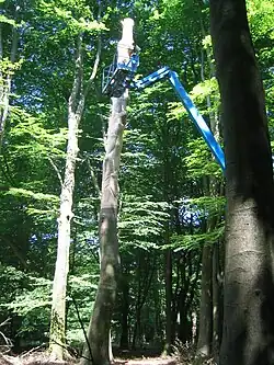 Onderdeel van insectenroute Staatsbosbeheer, 2009.