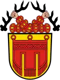 Wapen van Tübingen