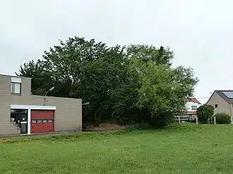 Tumulus van Borgworm