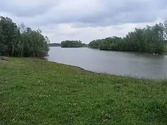 Kruidenrijk grasland, wilgen en open water