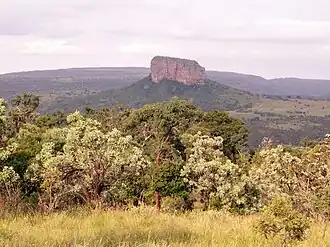 Bosveld van Zuidelijk Afrika
