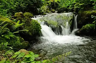 waterval in het Nationaal Park Mtirala