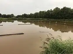 In dit bassin zakken de vaste deeltjes naar de bodem