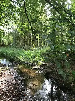 IJsselkop bij Westervoort (okt 2021)