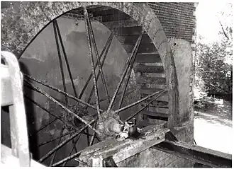 De Dorpsmolen van Stevoort in 1982