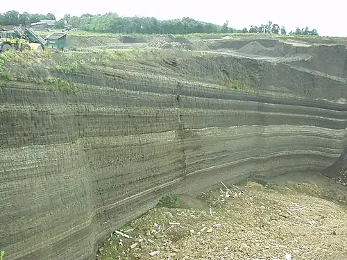 Tefralagen in een groeve in de Eifel. De wand is 30 meter hoog