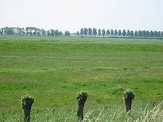 Weiland bij de Wijde Aa, mei 2003
