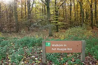 Haagse Bos