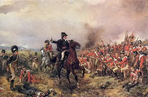 Robert Alexander Hillingford, Wellington at Waterloo