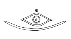 bloemdiagram van een vrouwelijke bloem