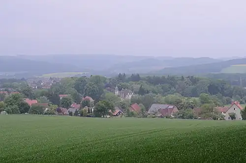 Gezicht vanaf de Löhlberg op dorp en kasteel Wendlinghausen