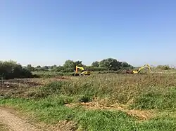 Plagwerkzaamheden in het rietmoeras van Scherenwelle, Wilsum