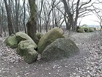 Großsteingräber auf der Buschhöhe; een ganggraf en een Großdolmen op 12 meter afstand van elkaar