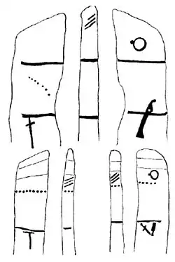 West Aziatisch-Europees type