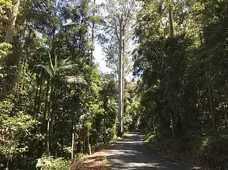 Nationaal park Ulidarra