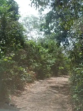 Western Area Peninsular National Park